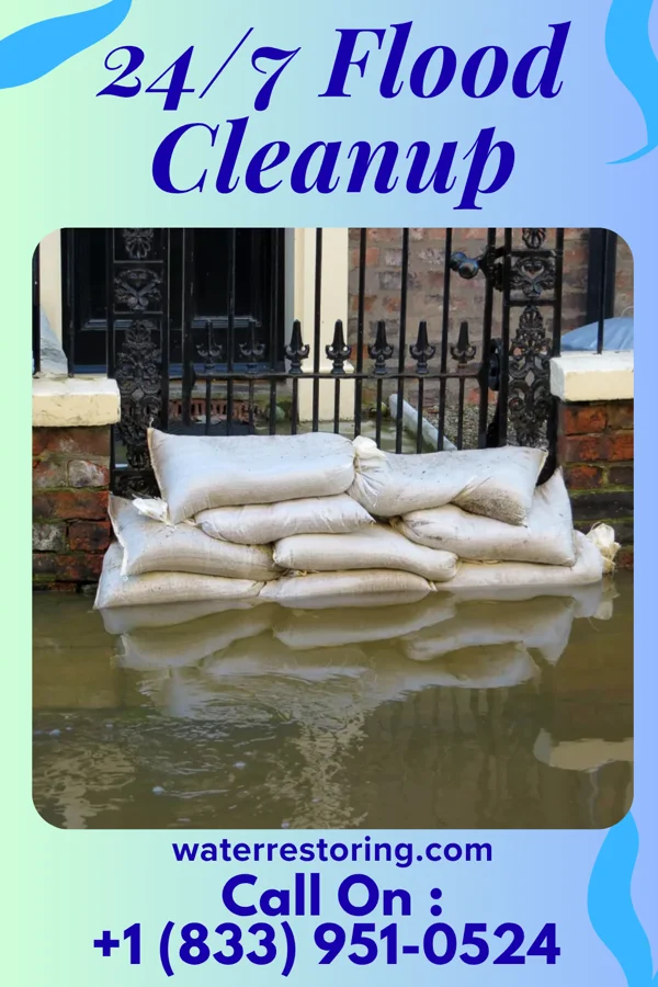 24/7 Flood Cleanup in South Mountain, TX
