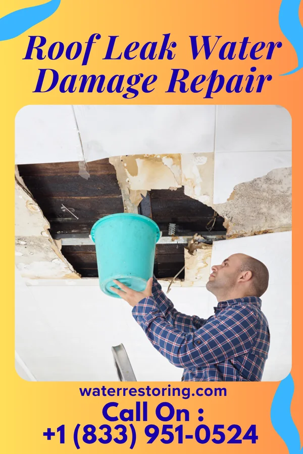 Roof Leak Water Damage Repair in South Mountain, TX