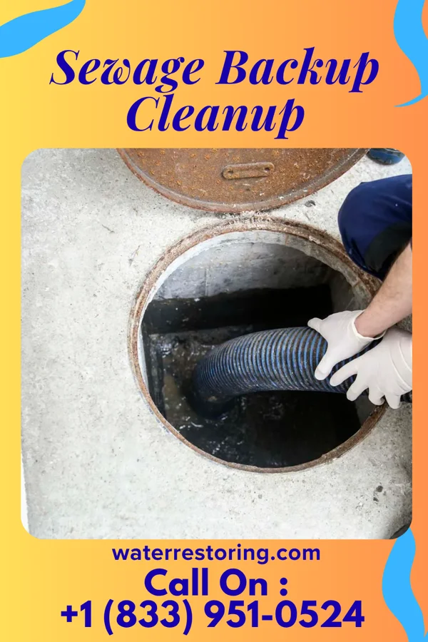 Sewage Backup Cleanup in South Mountain, TX